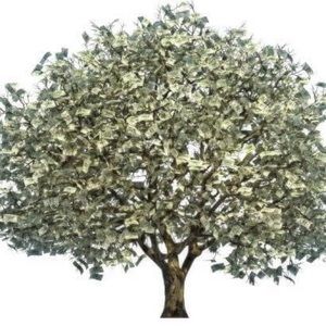 Meet your Posher, Billie j